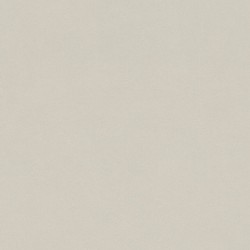 Обои Rasch Passepartout 606331