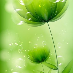 Фотообои 3D A533