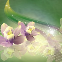 Фотообои 3D A540