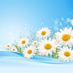 Фотообои 3D A542