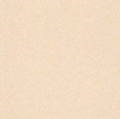 Обои Rasch Villa Coppenrath 295733