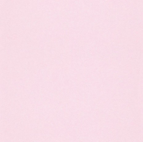 Обои Rasch Villa Coppenrath 295740