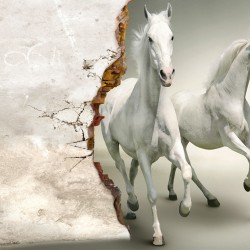 Фотообои 3D A550