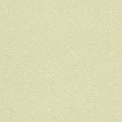 Обои Rasch Вambino XVII 246131